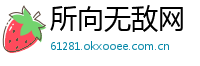 所向无敌网